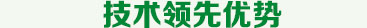 技术优势